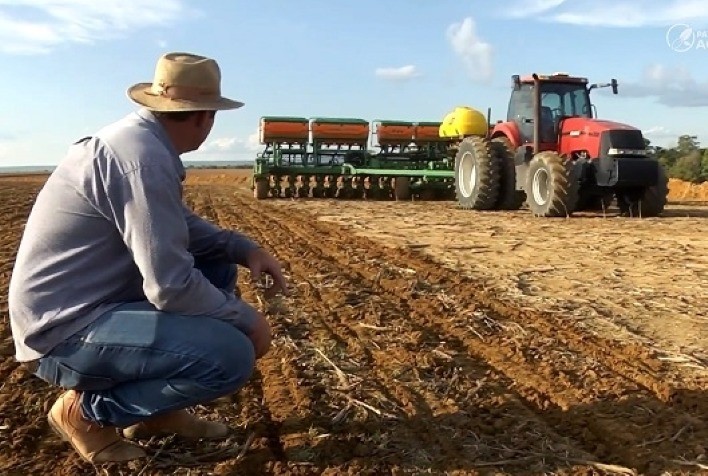 Safra de soja em Mato Grosso atinge custo recorde de R$ 54,39 bilhões e pressiona produtores a repensar manejo