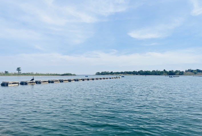 Centro de Excelência da ADM completa 15 anos e impulsiona inovação sustentável na aquicultura brasileira