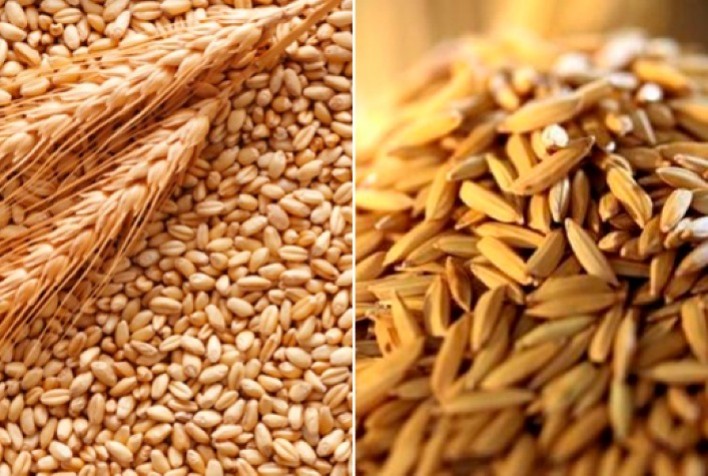 Governo Federal anuncia R$ 167 milhões em subsídios para equalização de preços do arroz e do trigo