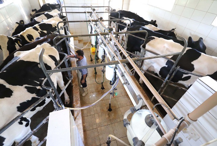 Paraná regulamenta lei que veta reconstituição de leite em pó importado destinado ao consumo humano