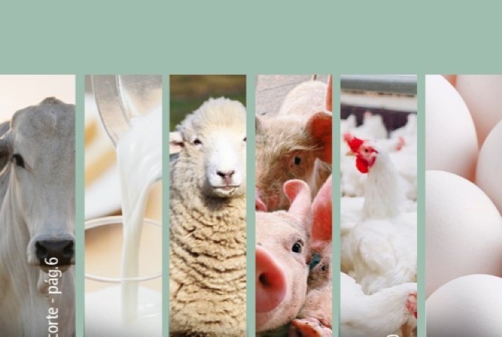 Cepea lança Panorama Pecuário 2025/2026 com análises detalhadas do setor brasileiro