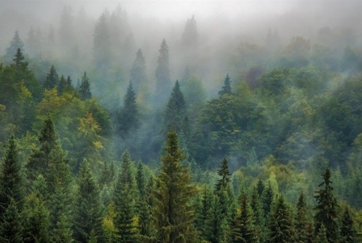 China enfrenta impacto hídrico após décadas de reflorestamento em larga escala