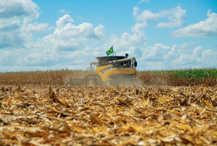 Produtor de Campos de Júlio bate recorde nacional e conquista título de campeão do milho 2025