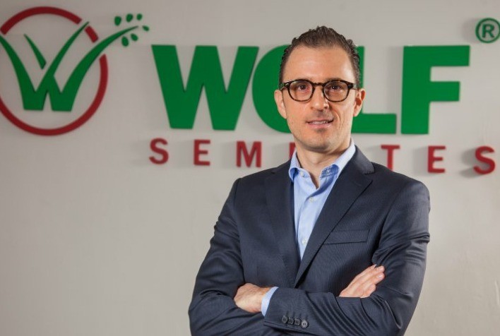 Baixa adoção de sementes híbridas limita produtividade na pecuária brasileira