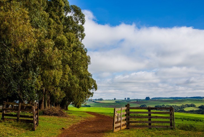 Nova corrida por terras: fundos e sucessão aceleram transformação do mercado agrícola no Brasil