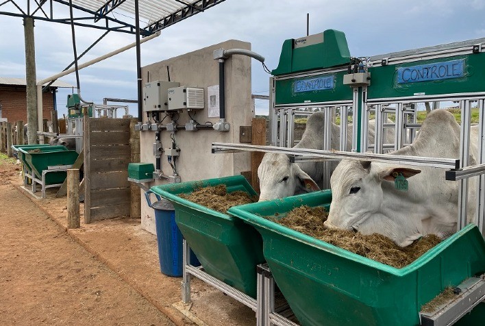 Estudo da Embrapa traça panorama das PecTechs e tecnologias disponíveis para pecuaristas brasileiros