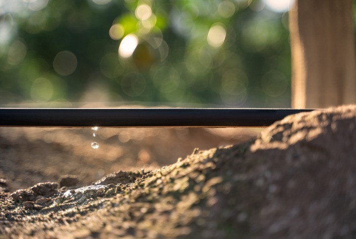 Digitalização da irrigação será o próximo salto do agro brasileiro, avalia especialista da Netafim