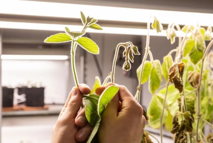 Elicit Plant encerra 2025 com crescimento expressivo e mira expansão global em 2026