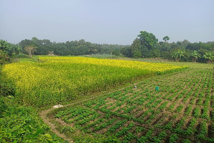 Tecnologias que apoiam a tomada de decisão do produtor rural
