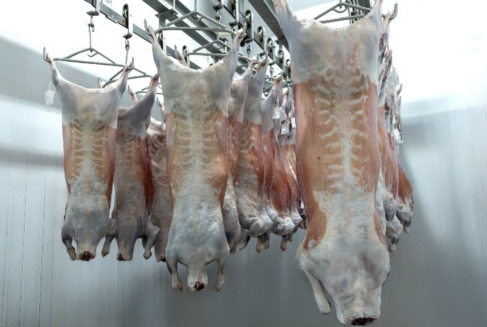 Frigorífico Jundiaí conquista certificação Halal e amplia acesso ao mercado global de carne ovina