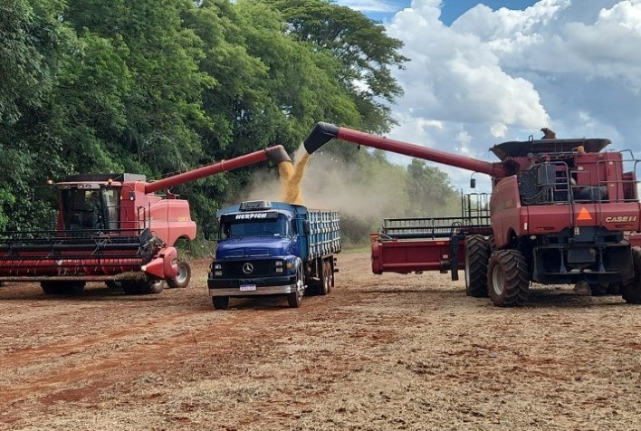 Copagril inicia colheita da soja safra 2025/2026 com qualidade histórica e antecipação no Paraná