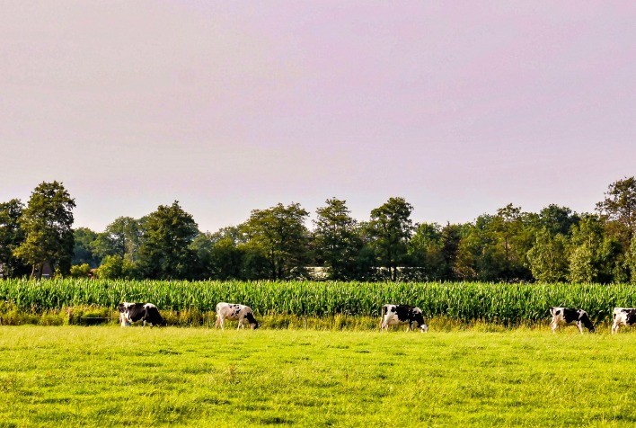 Receita Federal reforça orientações para regularização fiscal no setor rural até janeiro de 2026
