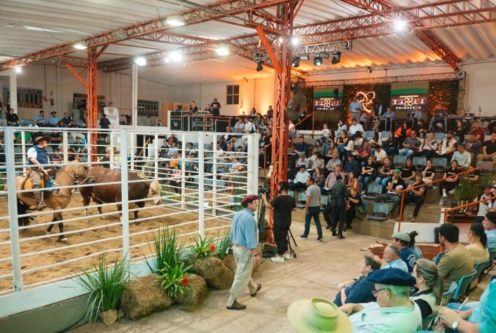 Remates oficiais de Hereford e Braford crescem 10% e movimentam mais de R$ 47 milhões em 2025