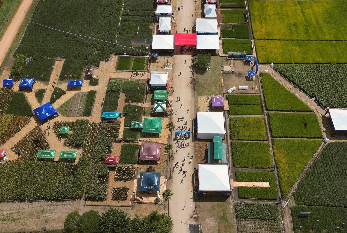 Vitrines tecnológicas destacam inovações e sustentabilidade na produção de arroz e grãos em terras baixas