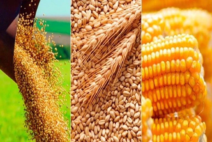 Mercado global de grãos inicia 2026 sob pressão com estoques recordes de milho, soja e trigo