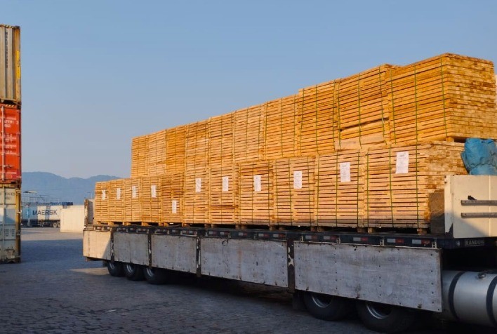 Exportações de madeira caem 3% em 2025, mas setor mostra resiliência e aposta em novos mercados