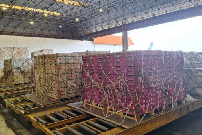 Fruticultura brasileira bate recorde em exportações com apoio de acordo UE-Mercosul