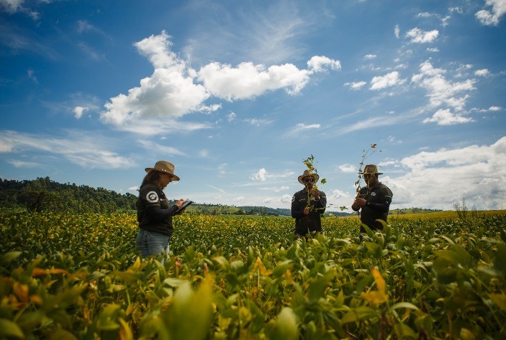 Rally da Safra 2026 começa com cenário estável e projeção recorde de 182,2 milhões de toneladas de soja