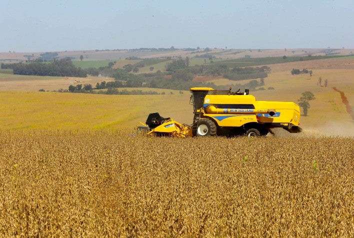 Safra de soja do Paraná se aproxima de recorde e reforça otimismo no agronegócio, aponta Deral