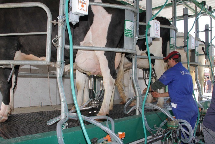 Custos de produção do leite registram leve deflação no Rio Grande do Sul em novembro, aponta Farsul