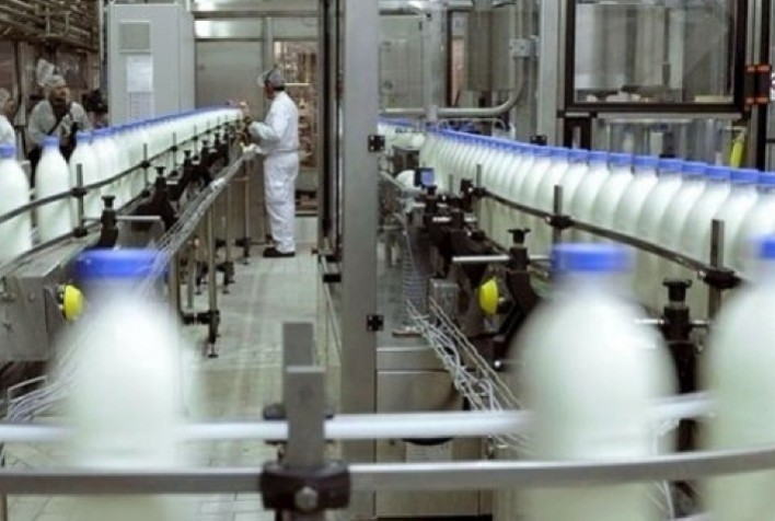 Exportações de lácteos do Brasil caem ao menor nível em mais de duas décadas, aponta Imea