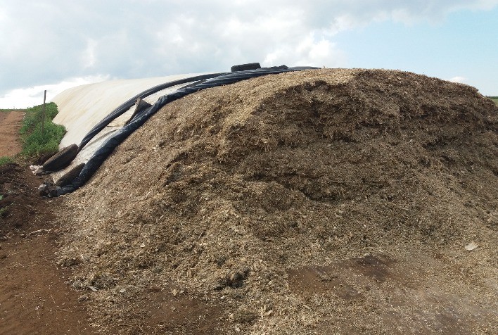 Planejamento e manejo corretos garantem silagem de qualidade e nutrição do gado o ano todo