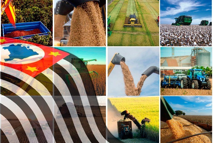 Agro paulista fecha 2025 com superávit de US$ 23 bilhões e amplia presença no mercado internacional