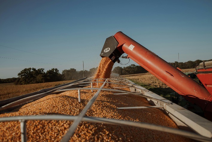 Concurso de Produtividade do Milho Inverno 2026 abre inscrições com meta de mais de 300 áreas auditadas e nova rede de parceiros