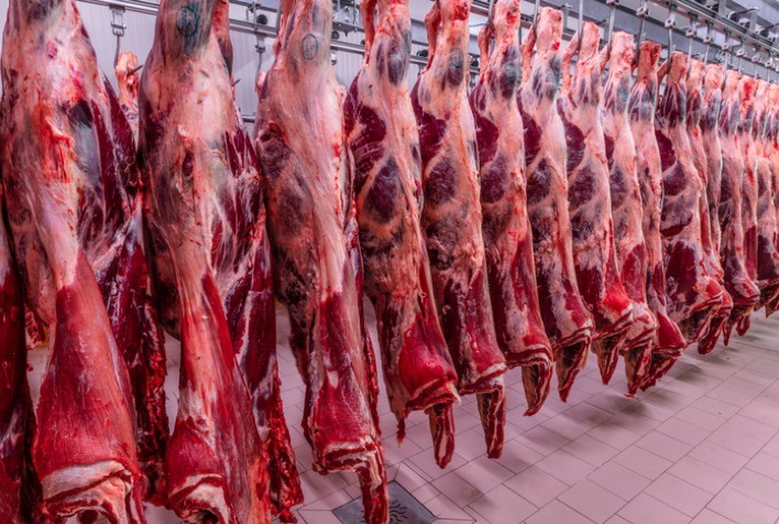 Vietnã Autoriza Mais Quatro Frigoríficos Brasileiros a Exportar Carne Bovina e Amplia Parceria Comercial com o Brasil