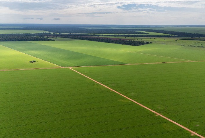 Aprosoja MT alerta que piso mínimo do frete eleva custos e ameaça competitividade do agronegócio brasileiro