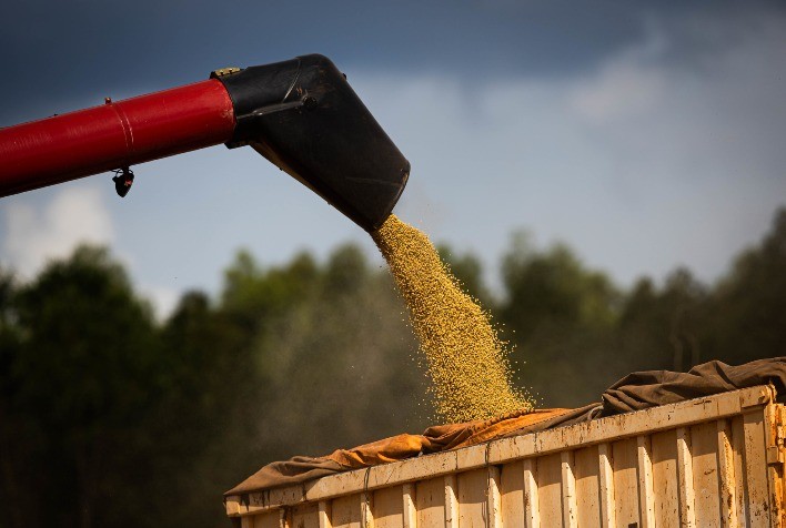 AgRural eleva projeções e prevê safra recorde de soja e milho no Brasil em 2025/26