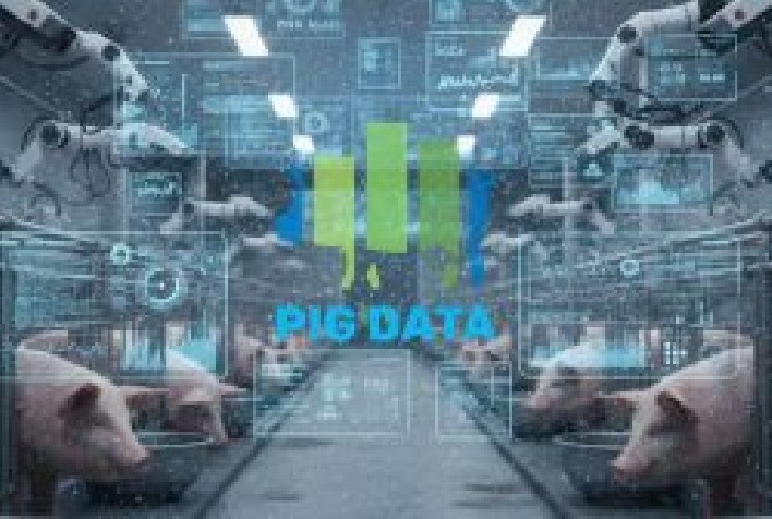 Suinocultura brasileira adota inteligência artificial e big data para aumentar produtividade e eficiência