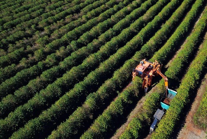 BRDE movimenta R$ 1,26 bilhão no agro paranaense e reforça presença no Show Rural Coopavel 2026