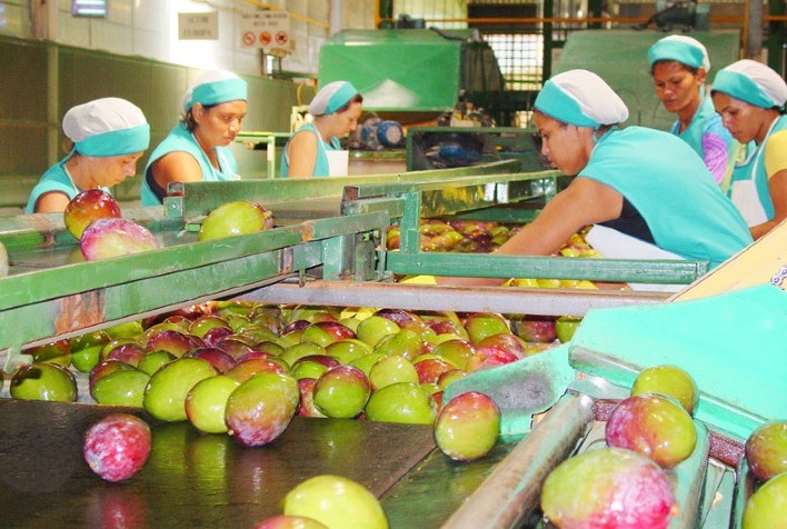 Brasil bate recorde histórico nas exportações de frutas em 2025 e amplia presença no mercado global