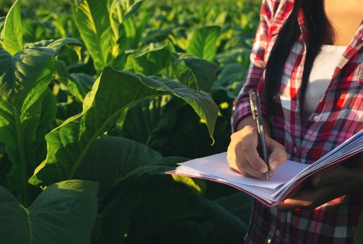Minas Gerais se torna foco de recuperações judiciais em 2026 e evidencia pressão sobre empresas do agro e da indústria