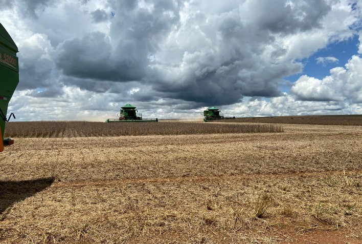 Colheita de soja avança no Sudoeste Goiano e já alcança até 5% da área cultivada