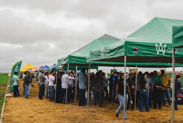 Avanço de pragas e doenças na soja coloca fitossanidade no centro das discussões do PA Summit 2026