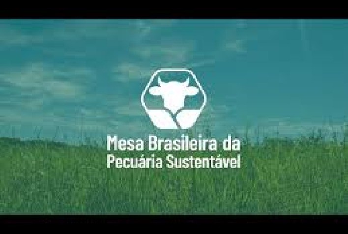 Mesa Brasileira da Pecuária Sustentável debate avanços e próximos passos da reinserção de produtores na cadeia da carne