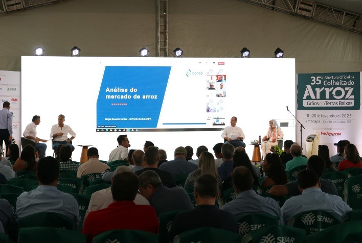 Câmara Setorial do Arroz Debaterá Soluções para Crise e Planejamento de Longo Prazo