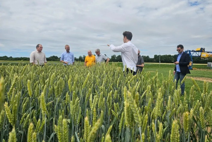 INCT NanoAgro abre oportunidades para estudantes que desejam atuar com nanotecnologia e agricultura sustentável