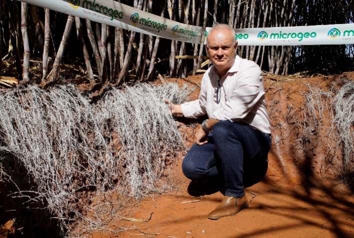 Manejo microbiológico de solo impulsiona produtividade da cana e rompe marca de 160 t/ha