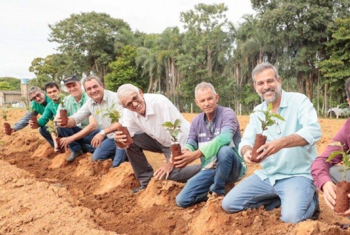 Goianésia impulsiona cafeicultura com apoio da Emater Goiás e entrega de 40 mil mudas a produtores