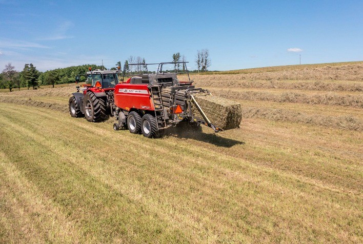 Qualidade da forragem é determinante para produtividade e rentabilidade do rebanho