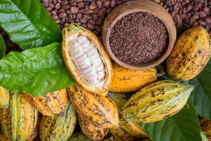 Mercado global de cacau inicia 2026 em fase de ajuste e busca por estabilidade