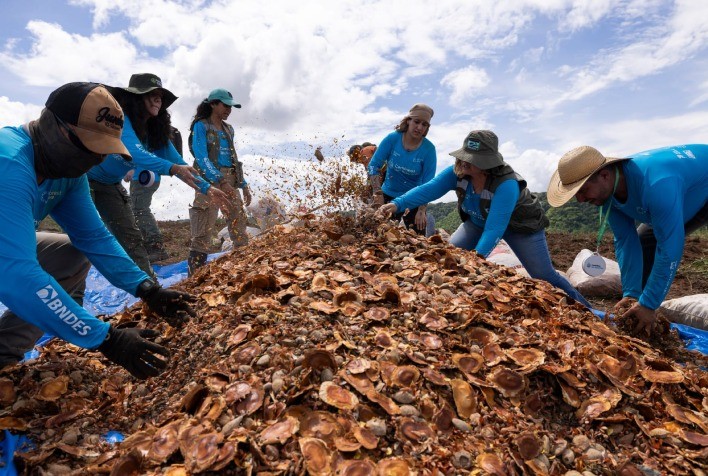 Rede de sementes mobiliza R$ 921 mil e fortalece restauração ambiental na bacia do Taquari
