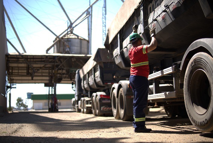 Armazéns de grãos: infraestrutura inadequada pode gerar prejuízos à safra do produtor rural