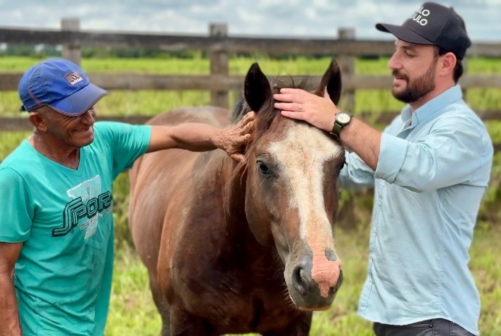 ABCCC amplia presença do Cavalo Crioulo no Norte do Brasil