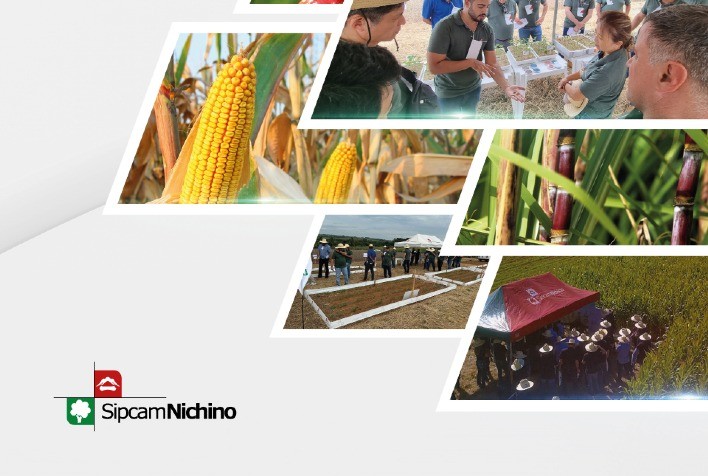 Sipcam Nichino Brasil reduz impacto ambiental e investe em inovação, aponta Relatório de Sustentabilidade 2025