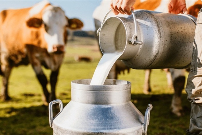 Ceará amplia programa de Fertilização in Vitro para aumentar produção de leite
