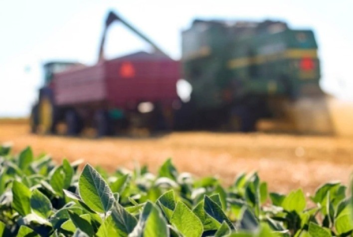 Reforma tributária pode mudar competitividade de bioinsumos e fertilizantes no Brasil